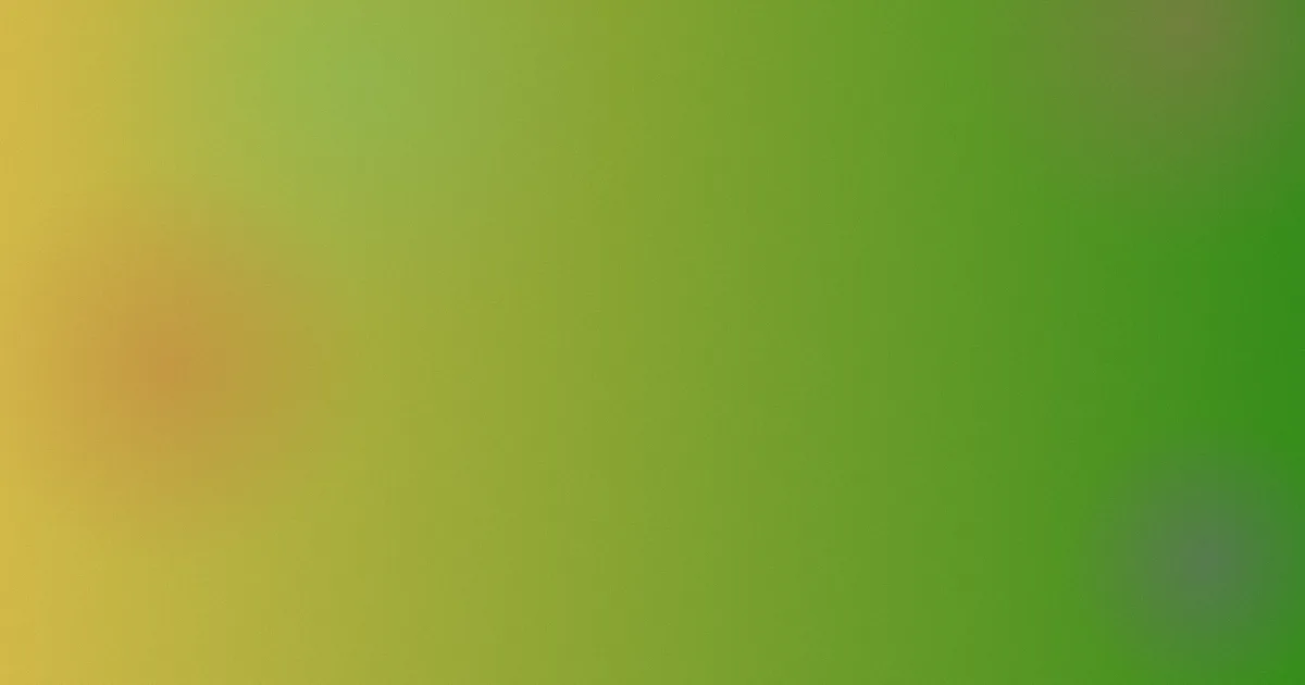 黑旋风对比：出租屋实测复盘